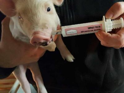 Resized 20170118 102853