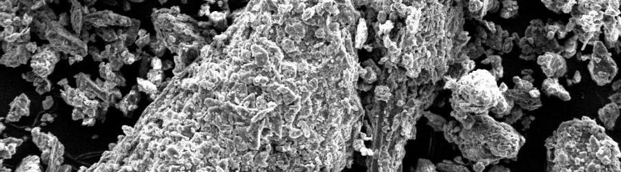 środek na mykotoksyny - antymykotoksykant - lepsza i wyższa strawność pasz objętościowych